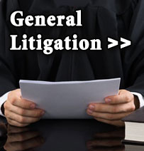General Litigation